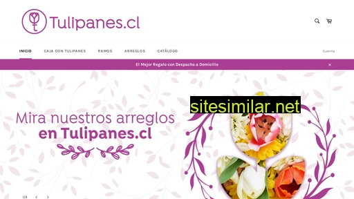 tulipanes.cl alternative sites