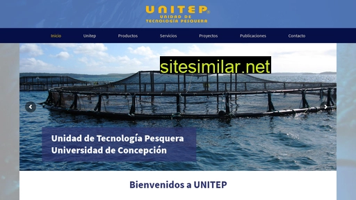 unitep.cl alternative sites