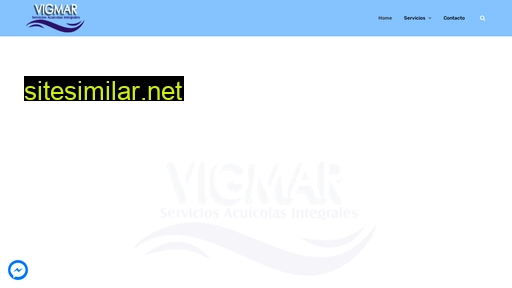 vigmar.cl alternative sites