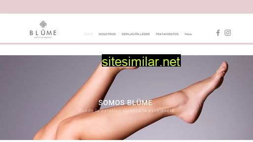 blüme.cl alternative sites