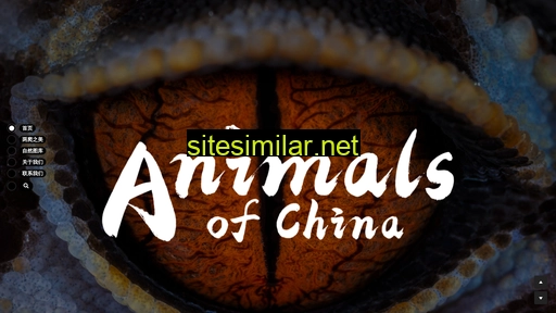 animalsofchina.cn alternative sites