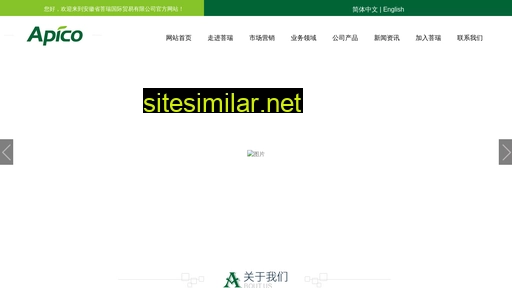 apico.com.cn alternative sites