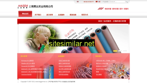 baggerman.cn alternative sites