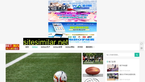 baisin.com.cn alternative sites