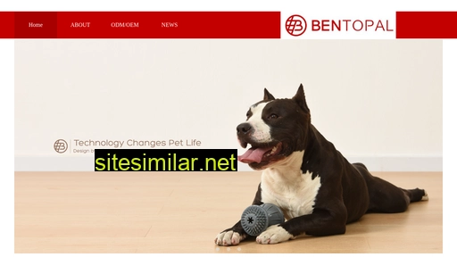 bentopal.cn alternative sites