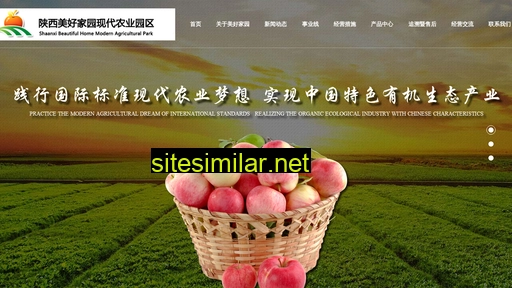 bsmhjy.cn alternative sites