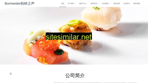 burmester-china.cn alternative sites