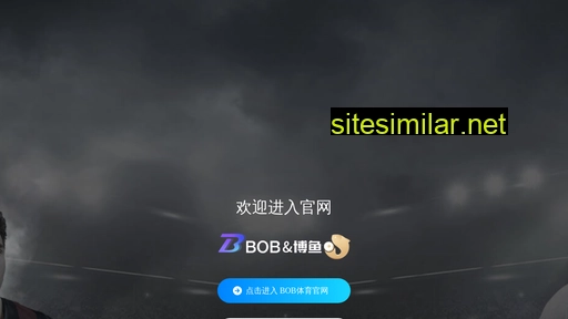 bzsjzz.cn alternative sites
