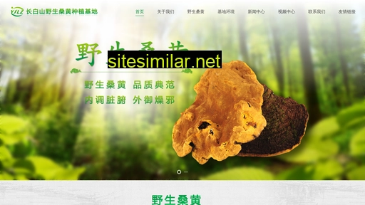 cbsyslz.cn alternative sites