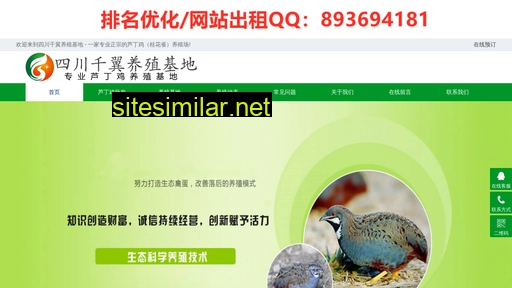 Cczhongqi similar sites