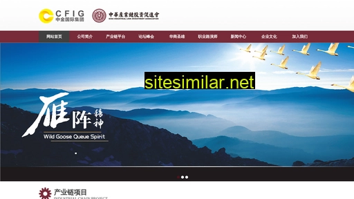 cfig.org.cn alternative sites