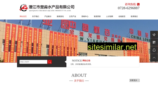cnchumiao.cn alternative sites