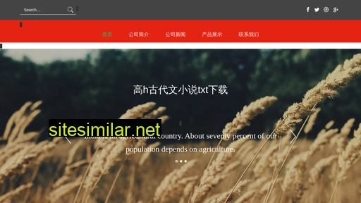 cnengli.cn alternative sites