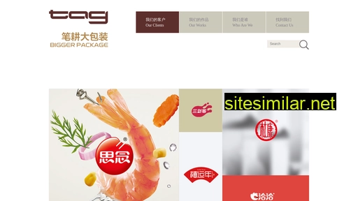 ctag.com.cn alternative sites
