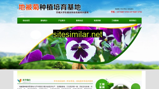 dapengwenshi.cn alternative sites