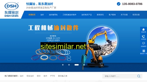 dshseals.cn alternative sites