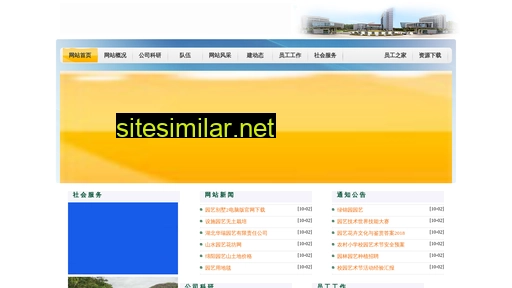 dygzoknk.com.cn alternative sites