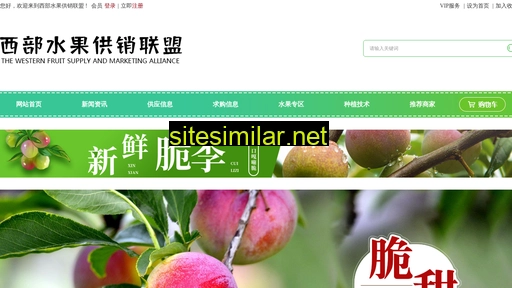dzclz.cn alternative sites