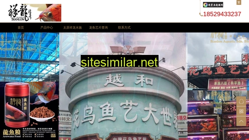 fishty.cn alternative sites