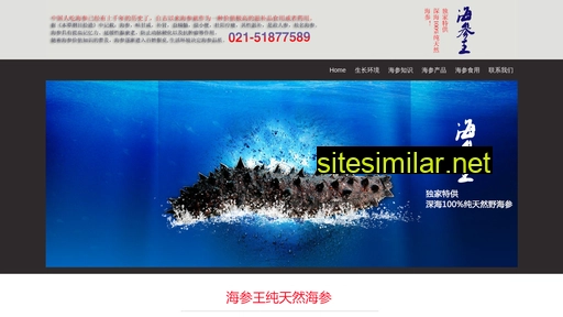 haishenwang.com.cn alternative sites