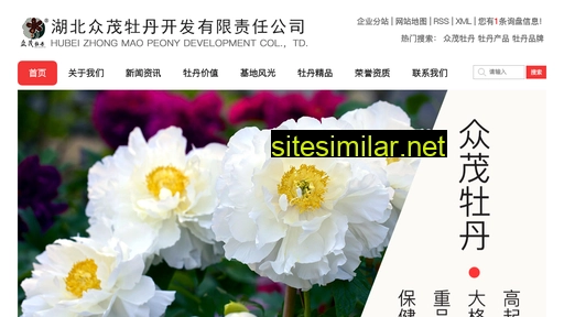 hbzmmd.cn alternative sites