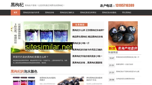 heigouqi1.cn alternative sites