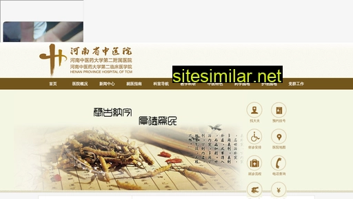 hnszyy.com.cn alternative sites