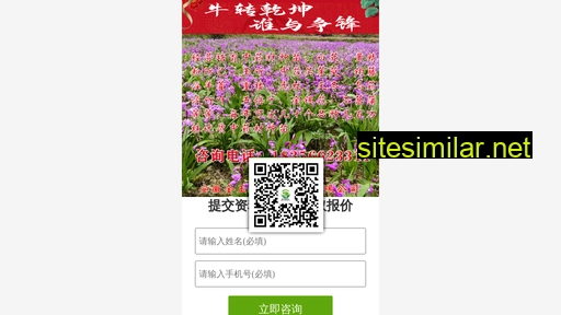 jinyunong.cn alternative sites