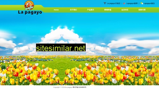 lapagayo.net.cn alternative sites
