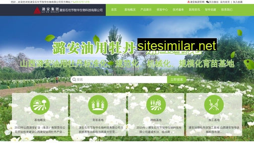 luanzhnl.cn alternative sites