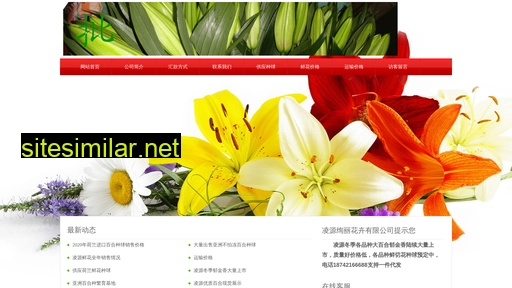 lybhw.cn alternative sites