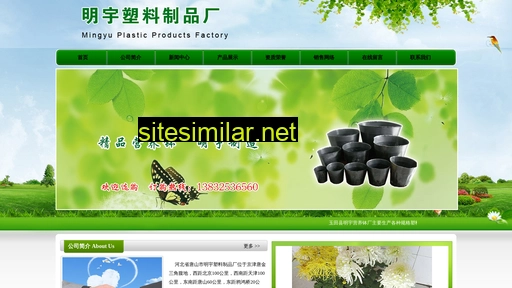 meizhidai.com.cn alternative sites