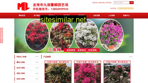mlsjm.cn alternative sites