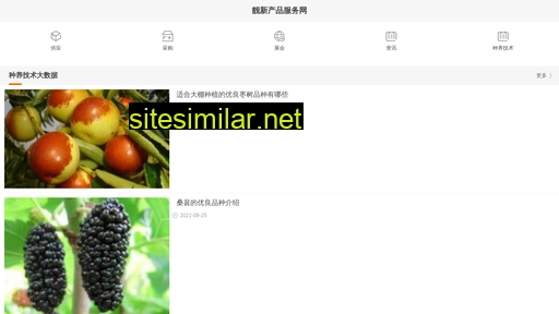 m.lenxin.cn alternative sites