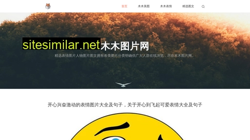 mmimg.cn alternative sites
