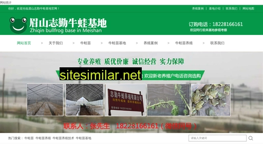 mszqnw.cn alternative sites