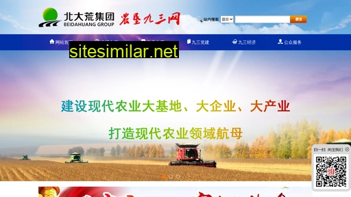 nk93.com.cn alternative sites