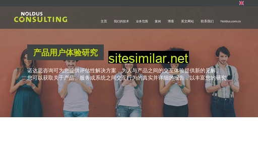 noldusconsulting.com.cn alternative sites
