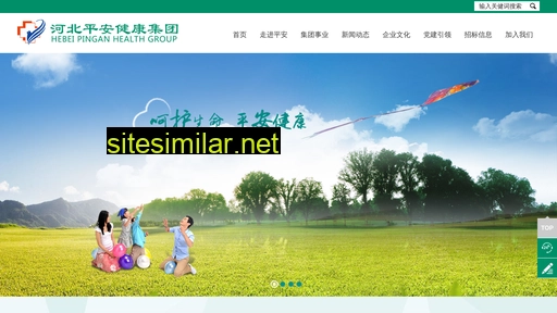 pingan.org.cn alternative sites