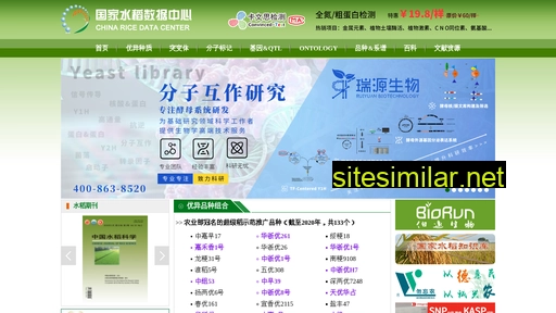 ricedata.cn alternative sites