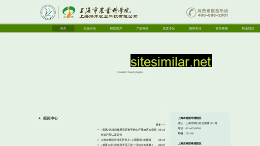 ruifeng.sh.cn alternative sites