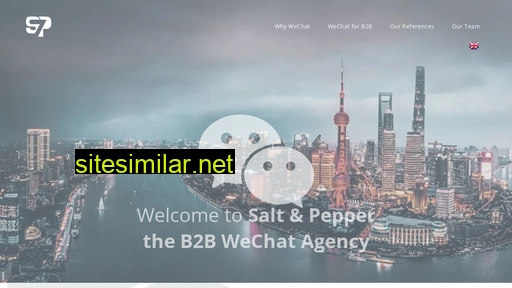 saltandpepper.cn alternative sites