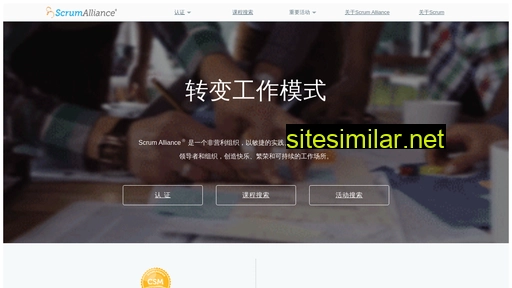 scrumalliance.cn alternative sites