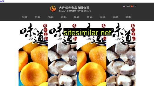 sdhongtai.cn alternative sites