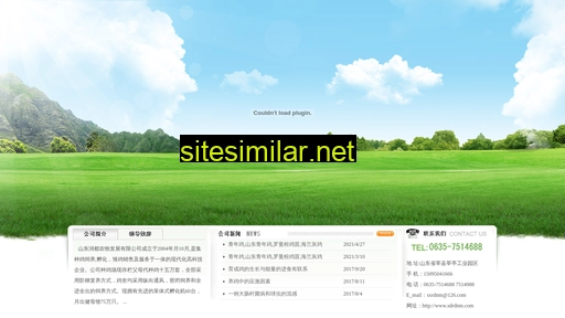 sdrdnm.cn alternative sites