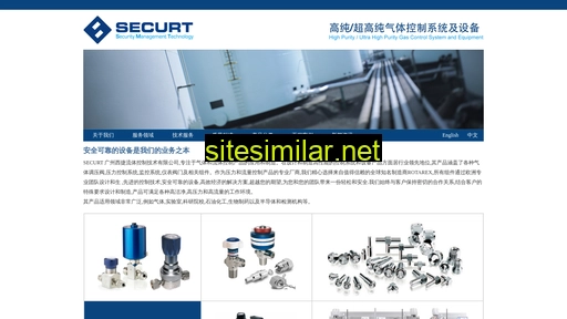 securt.com.cn alternative sites