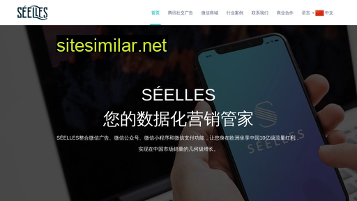 seelles.cn alternative sites