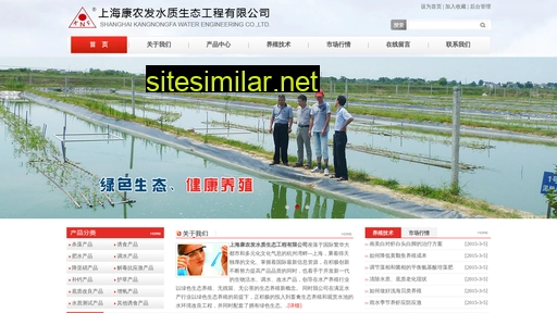 shknf.com.cn alternative sites