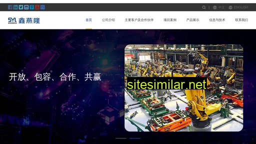 sinylon.cn alternative sites