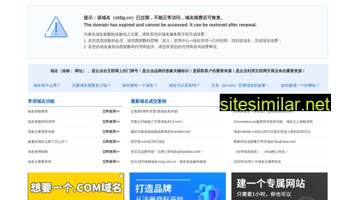 skfjg.cn alternative sites